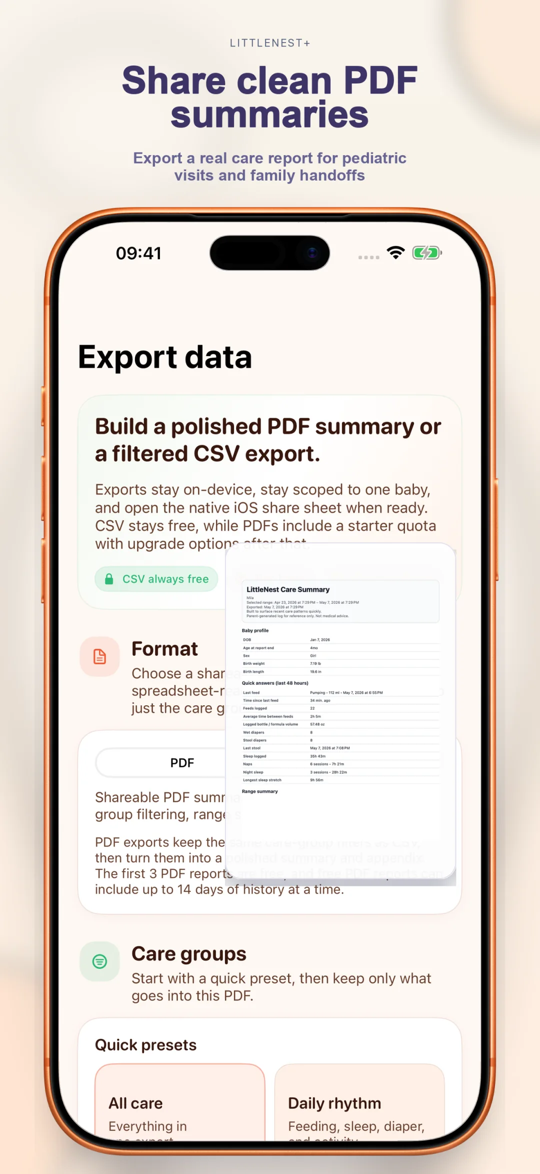 Clean PDF summary export